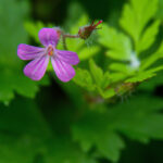 3d开奖间隔时间规律与中奖概率深度解析 37cqi