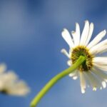 3D彩票历史开奖号码完整详细数据汇总 yu0pjy9d6